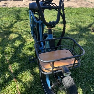 2023 Rad Power Bikes RadRunner 2 Electric Utility Bike Blue