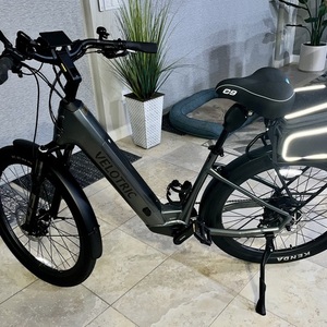 2024 Velotric Discover 2 Silver, gray or bare metal