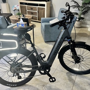 2024 Velotric Discover 2 Silver, gray or bare metal