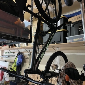 2023 Specialized Black and Blue