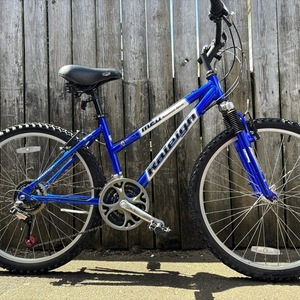 2002 Raleigh M20 Mountain Sport Blue and White
