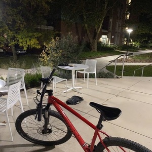 2019 Specialized Rockhopper Red