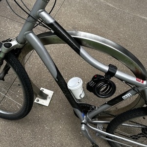 Specialized Expedition Silver, gray or bare metal