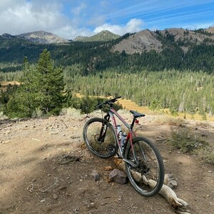 2014 Specialized Silver, gray or bare metal, Red, and White