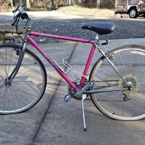 1995 Bianchi Boardwalk Pink