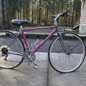 1995 Bianchi Boardwalk Pink