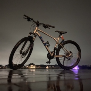 2022 GT Bicycles Aggressor Expert Silver, gray or bare metal