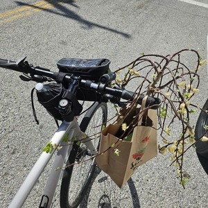 2022 Trek FX2 Silver, gray or bare metal and White