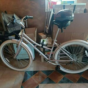 Camellia Pink and White