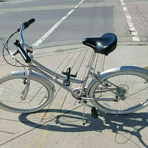 Camellia Pink and White