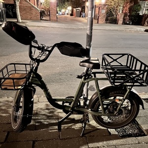 2022 Rad Power Bikes Rad Runner 2 Green
