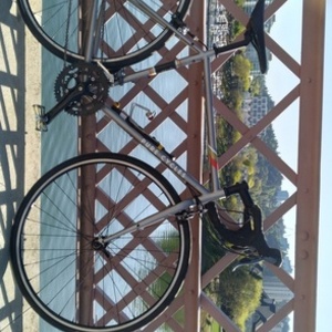2022 pure cycles Pure cycles Silver, gray or bare metal