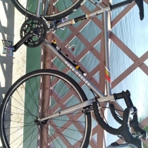 2022 pure cycles Pure cycles Silver, gray or bare metal