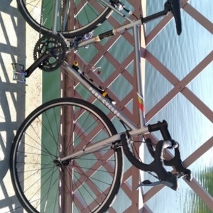 2022 pure cycles Pure cycles Silver, gray or bare metal