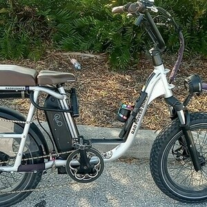 Rad Power Bikes RadRunner Silver, gray or bare metal and Black