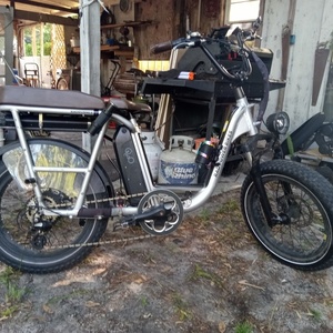 Rad Power Bikes RadRunner Silver, gray or bare metal and Black