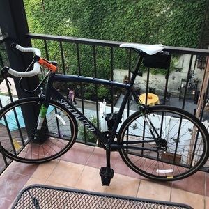 2018 Specialized Langster Silver, gray or bare metal