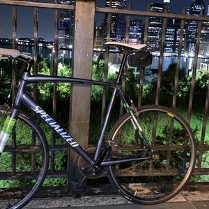 2018 Specialized Langster Silver, gray or bare metal