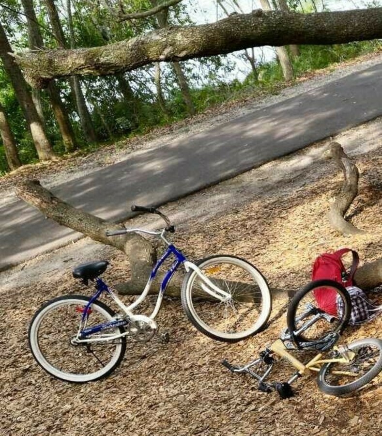 Bike photo