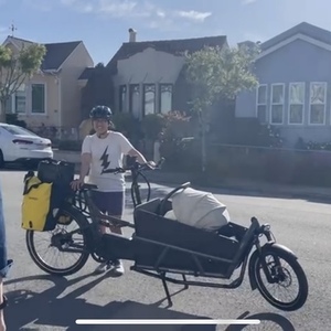 2024 Riese &amp; Müller Load4 75 Silver, gray or bare metal