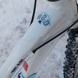 Raleigh PEAK Teal and White