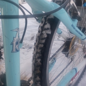 Raleigh PEAK Teal and White