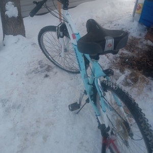 Raleigh PEAK Teal and White