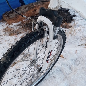 Raleigh PEAK Teal and White