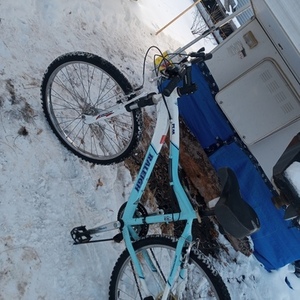 Raleigh PEAK Teal and White