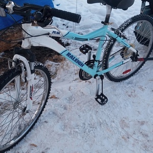 Raleigh PEAK Teal and White