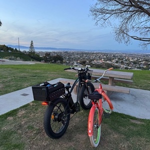 2024 Ecotric Hammer Black and Green