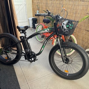 2024 Ecotric Hammer Black and Green