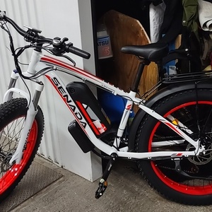 2024 Senada ARCHON White and Red