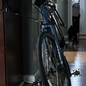 2016 Surly Disc trucker Blue