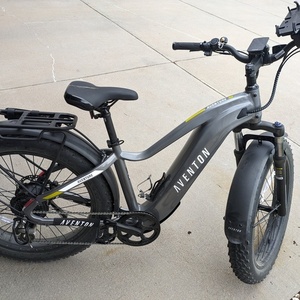 2024 Aventón Aventure 2 Silver, gray or bare metal