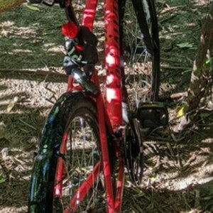2014 Specialized Crosstrail Red