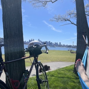 2010 Redline Conquest Classic Brown and Stickers tape or other cover-up