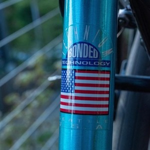 1992 Raleigh Dash Teal and Black