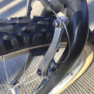 1959 Schwinn Corvette Red