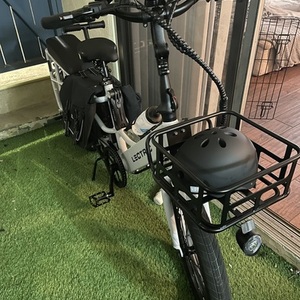 2023 Lectric eBikes Xpedition White