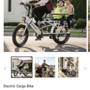 2023 Lectric eBikes Xpedition White