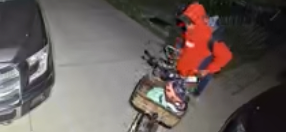 Cargo Bike Rear photo