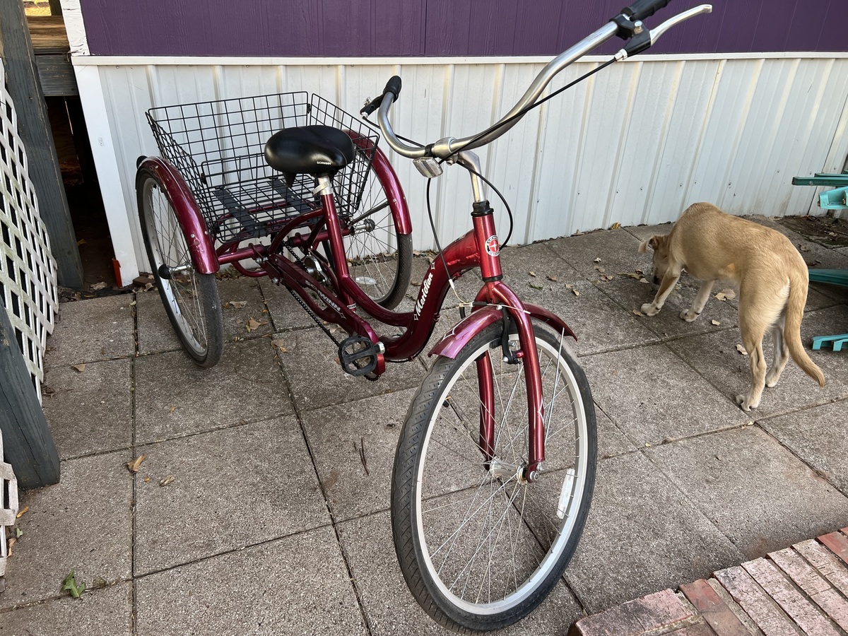 Bike photo