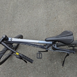 2022 Giant Silver, gray or bare metal