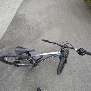 2022 Giant Silver, gray or bare metal