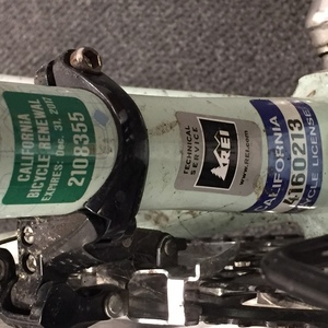 2014 Novara Carema Women's 2014 Green and Blue