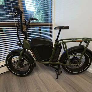 2020 Rad Power Bikes RadRunner Green