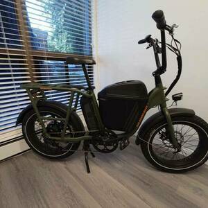 2020 Rad Power Bikes RadRunner Green