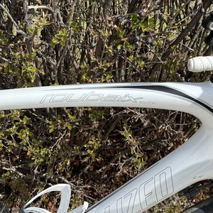 Specialized Roubaix Elite Compact
