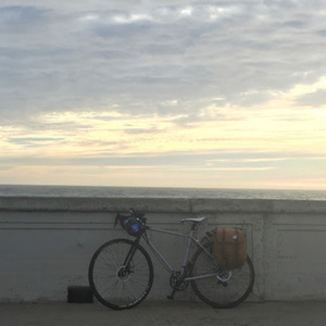 2015 Charge Plug 4 Purple and Silver or Gray